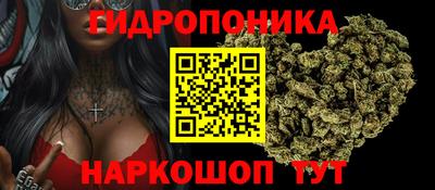 mdpv Белореченск