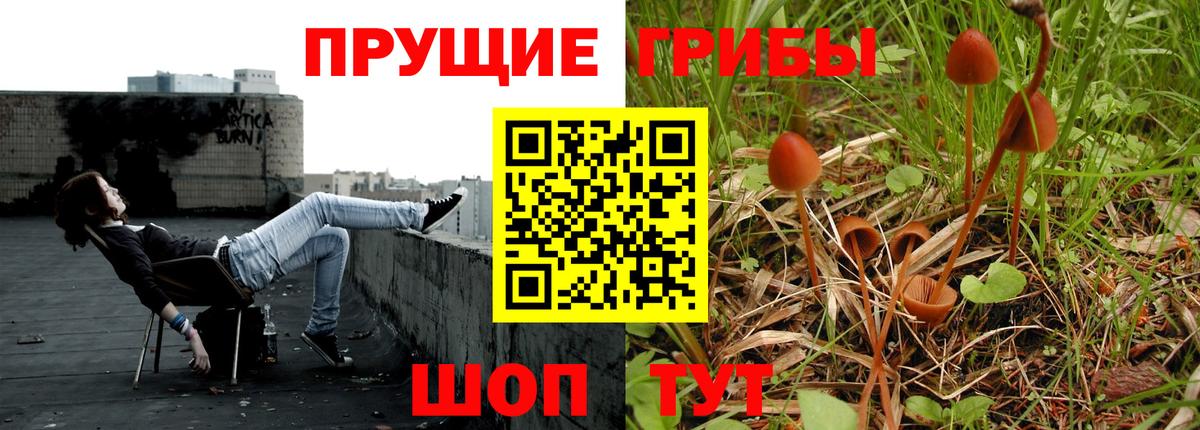 где купить наркоту  Галлюциногенные грибы прущие грибы  Курчатов  Вход с VPN  Псилоцибиновые грибы MAGIC MUSHROOMS 