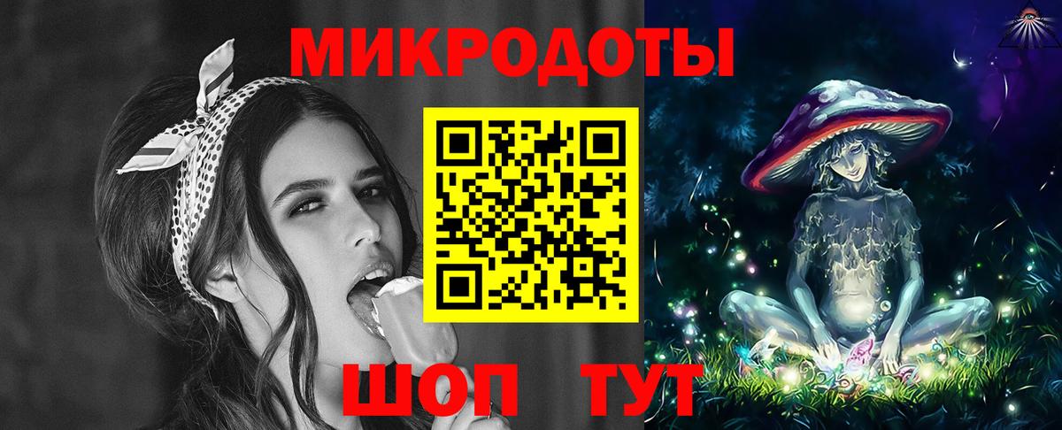 Псилоцибиновые грибы Cubensis Курчатов